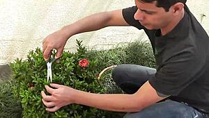 i paid the gardener with my big ass