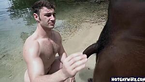 Three sexy men having sex after tanning the skin
