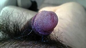 My wet cock drips intensely as I rip clothes and masturbate in close-up.
