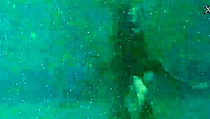 This naked petite 18+ brunette pornstar is masturbating while smoking, showing off her juicy tits and pussy.