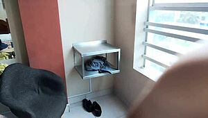 Wild Party Babe Rocks the Holiday Fiesta Night