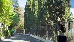 my stepsister gives sloppy blowjob and messy facial