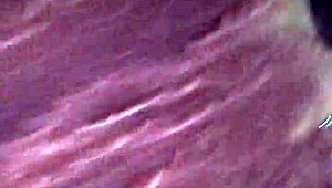 Deepthroat and Facial