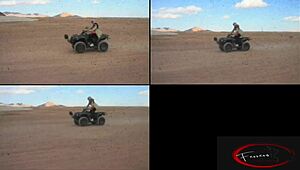 cazzo, moto e scopate nel deserto del Sinai con lei mi eccitano da morire, sai?