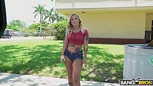 stella raee wins brick dangers dick in trivia