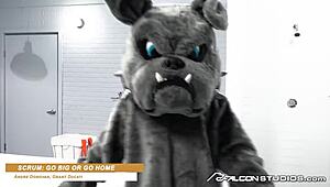 yo, falconstudios got the best of andre donovan—damn, what he did to that mascot! 🔥