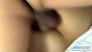 here's the latest japanese pussies compilation for connoisseurs volume 84