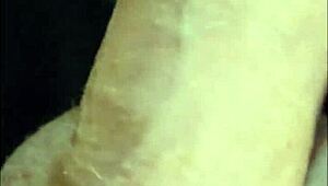 Tranny și iubitul stăpân acțiune deepthroat răsturnat