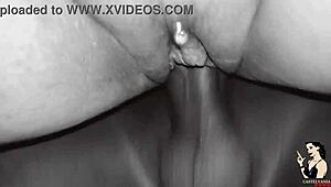 tattooed paty angel took cumshot from married milf