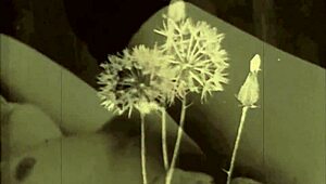 vintage porn clash of 1870s against 1970s styles