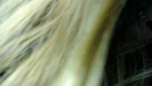 Teen Amateur Blonde In Homemade Sucking Scene