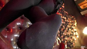 Legs in Black Opaque Pantyhose Get Kissed and Sucked