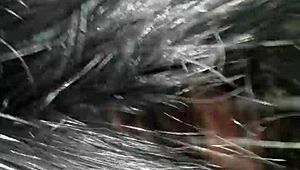 video from november 5, 2016