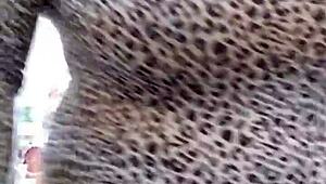 Vanillababyy dances while masturbating and getting assfucked anal 😍