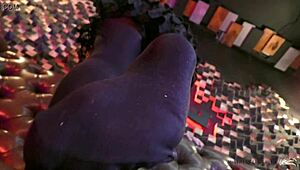 Legs in Black Opaque Pantyhose Get Kissed and Sucked