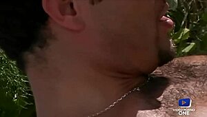 Angie Loves Bronzer Outdoors