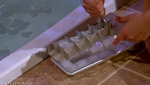 Dani Daniels and Madison Fox in a wild penthouse encounter