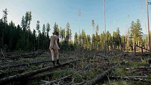 Hey, check out this naked girl masturbating in the forest! 😍