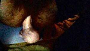 The sissy whore eagerly rides a thick dildo in stockings