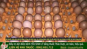 Ancient Vietnamese Secrets for Boosting Male Vitality Unveiled