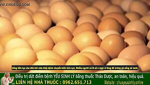 Ancient Vietnamese Secrets for Boosting Male Vitality Unveiled