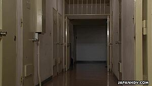 Javgate Reveals Japanese Women's Prison Cavity Search