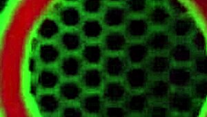 Blonde Vicky Vette sucks cock for cum on tits