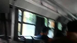 me convence para que se la chupe en el camion dianita miel in outdoor public blowjob