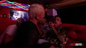 celebrated my birthday with wild orgy in the limousine! so intense!