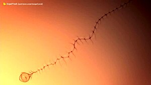 Naruto, Sakura, and Hinata in Wild Hentai Action