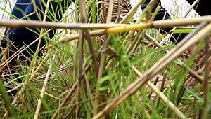 hey, wanna see this hentai chick all tied up?