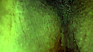 I wish this gay encounter was real, you know?