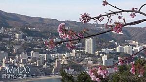 full version https bit ly 2nrp5wx