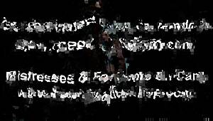 take me on a shopping spree