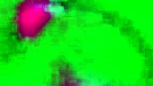 damn, Riley Jensen rode that Sybian hard instead