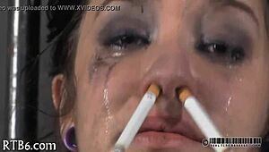 Free Hardcore Sadomasochism Porn Videos Available