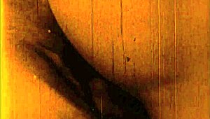 Ever seen vintage drawings come to life like this?