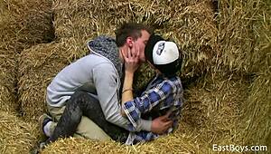 Uh, 18 twinkovia sa riadia v horúcej akcii, hladkajú veľké kokoty, cucajú tvrdo, sakra sú roztomilí!