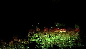 Ever seen vintage drawings come to life like this?