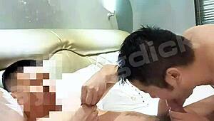 Couple Gay Asian Amateur Fucking Bareback