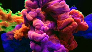 I picked up someone from the square to my car, see full on xv red