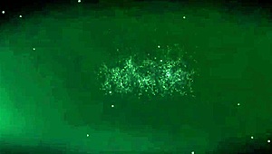 Brunette Masters Oral Sex with Relaxing Skilled Moves