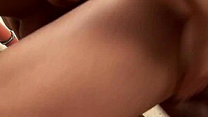 One cock in the women's house