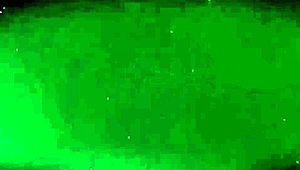 Amateur blowjob leads to cumshot