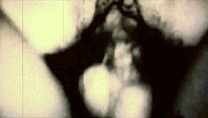 vintage erotic drawings with a timeless sensual charm