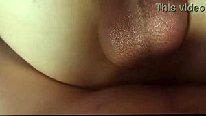 Young Chubby Blokes Experience Maximum Pleasure in Gay Fucking and Anal Action.