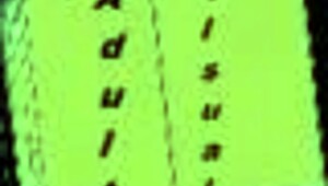 Welcome To Free Will 16: Exciting Anime Game Adventure!