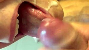 Alineflavio update 23