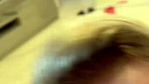 Alineflavio update 23