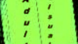 Harem Hotel 26: Anime Game With Hotel Setting